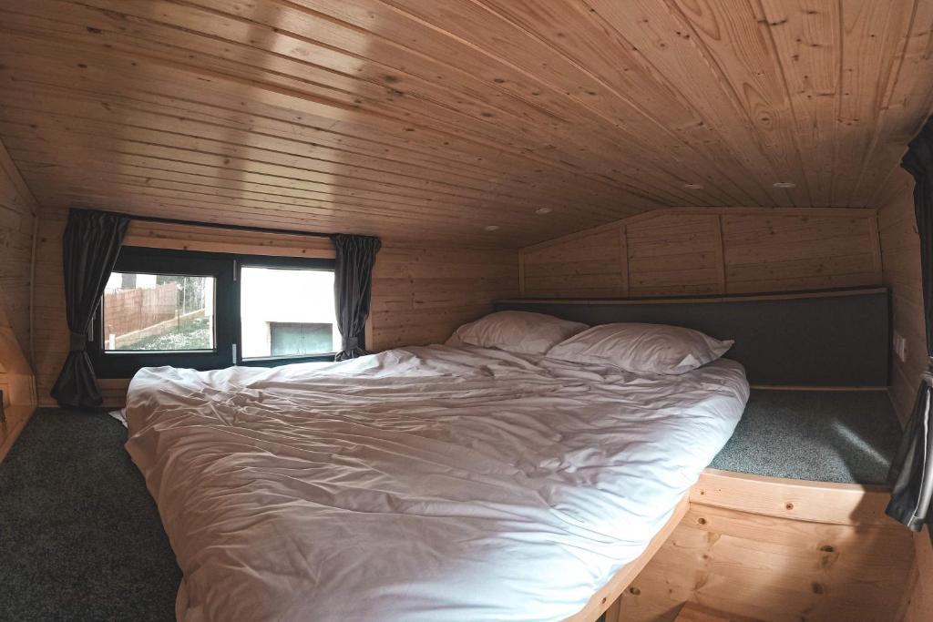 TinyInvest Tiny House in der Natur